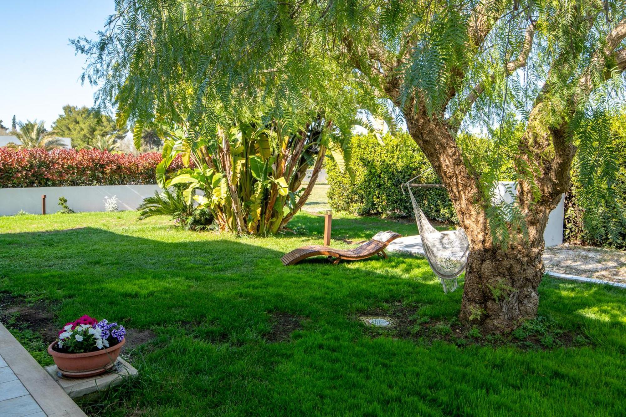 Villa Leomaris 托里德欧索 外观 照片